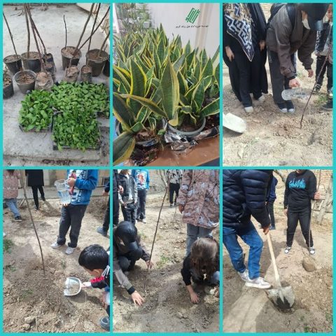 روز درختکاری